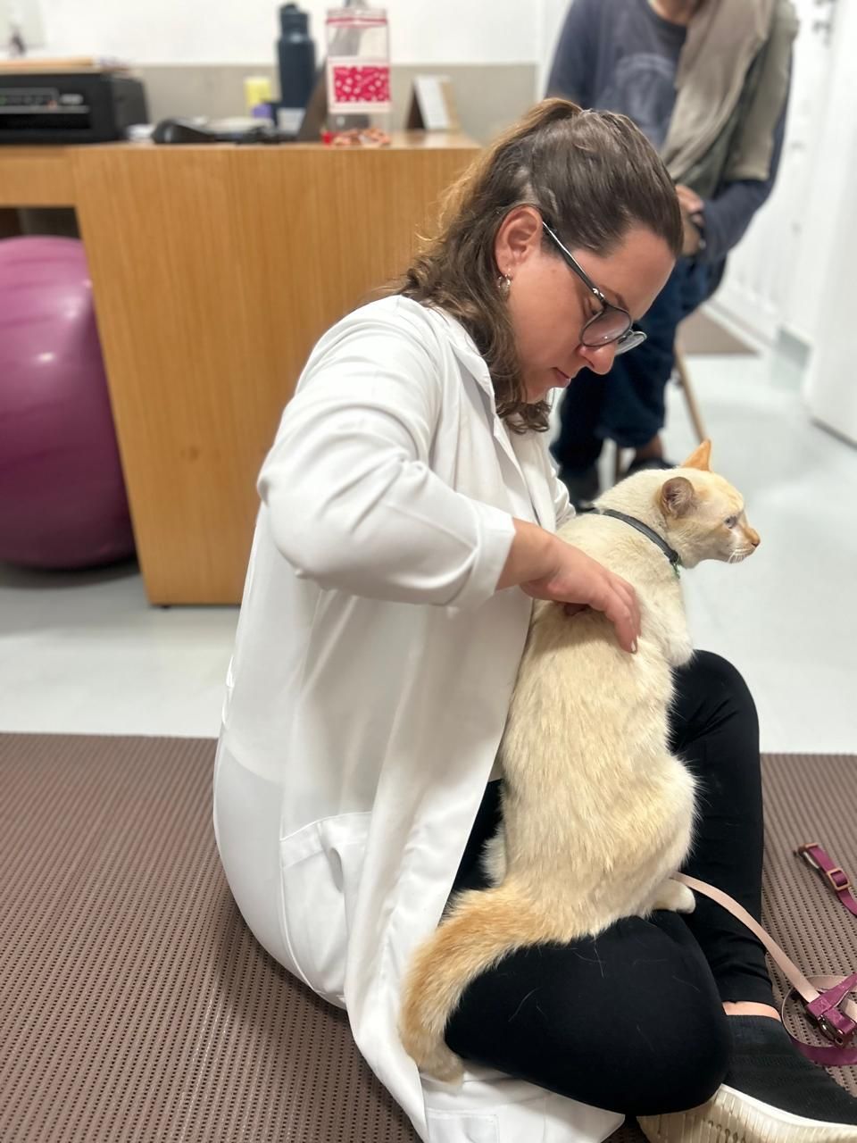 Atendimento na Marcella Dinelli Veterinária Integrativa São Paulo