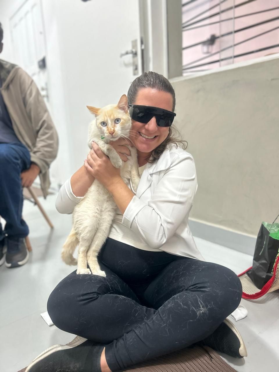 Atendimento na Marcella Dinelli Veterinária Integrativa São Paulo
